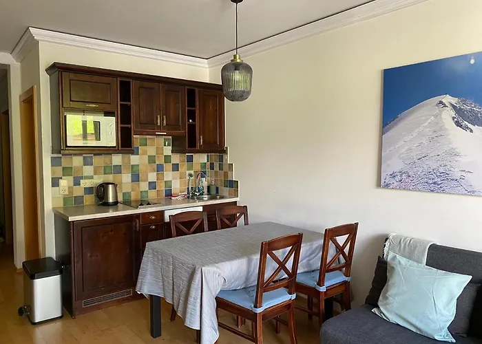 3-zimmer In Zwieselstein Appartement Sölden